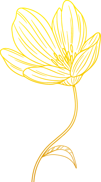Feine, goldgelbe Blumenillustration im Line-Art-Stil – stilvolles Designelement für hochwertige Wohn- oder Architekturwebseiten.
