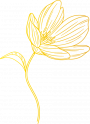 Feine florale Grafik in Goldgelb – stilisiertes Blütenmotiv als elegantes Designelement für die Markenwelt von Beletage Buckau.