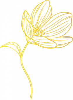 Feine florale Grafik in Goldgelb – stilisiertes Blütenmotiv als elegantes Designelement für die Markenwelt von Beletage Buckau.